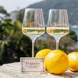 Il Vigneto Casa vacanze Moneglia